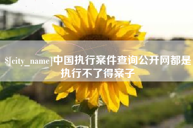 黄石中国执行案件查询公开网都是执行不了得案子