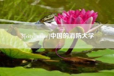 黄石中国的消防大学