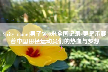 黄石男子5000米全国记录-更是承载着中国田径运动员们的热血与梦想