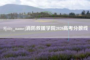 黄石消防救援学院2020高考分数线