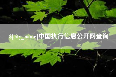 黄石中国执行信息公开网查询