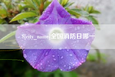 黄石全国消防日哪一