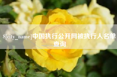 黄石中国执行公开网被执行人名单查询