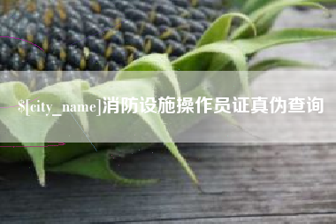 黄石消防设施操作员证真伪查询