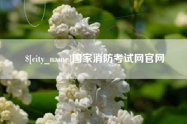 黄石国家消防考试网官网