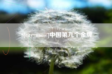 黄石中国第九个金牌