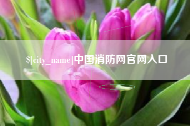黄石中国消防网官网入口