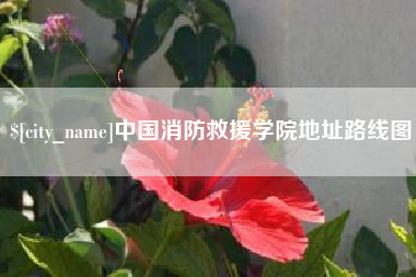 黄石中国消防救援学院地址路线图