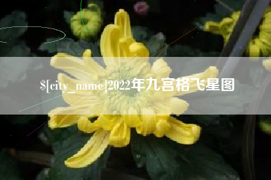 黄石2022年九宫格飞星图