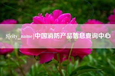 黄石中国消防产品信息查询中心