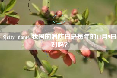 黄石我国的消防日是每年的11月9日对吗？