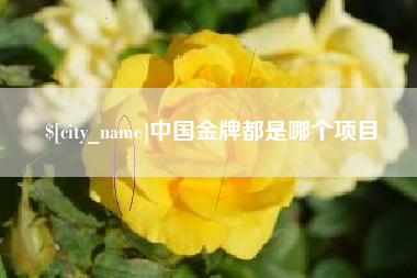 黄石中国金牌都是哪个项目