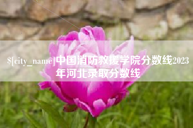 黄石中国消防救援学院分数线2023年河北录取分数线
