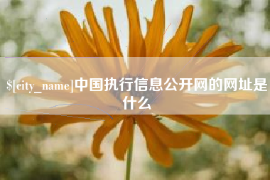 黄石中国执行信息公开网的网址是什么