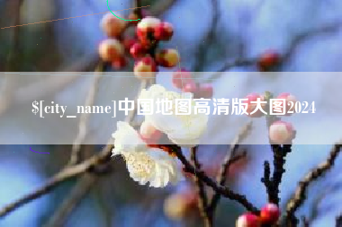 黄石中国地图高清版大图2024