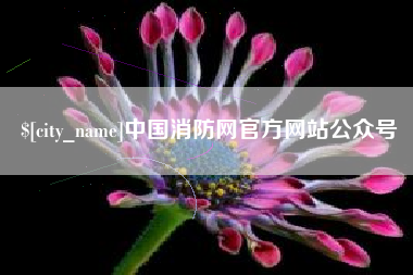 黄石中国消防网官方网站公众号