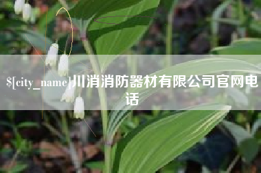 黄石川消消防器材有限公司官网电话