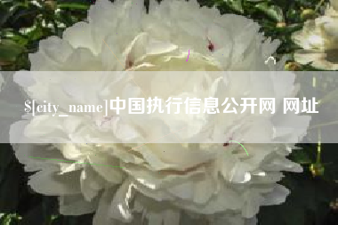 黄石中国执行信息公开网 网址