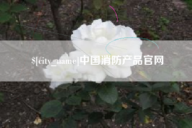 黄石中国消防产品官网