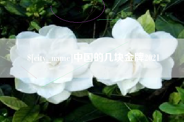 黄石中国的几块金牌2021