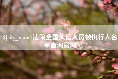 黄石法院全国失信人员被执行人名单查询官网