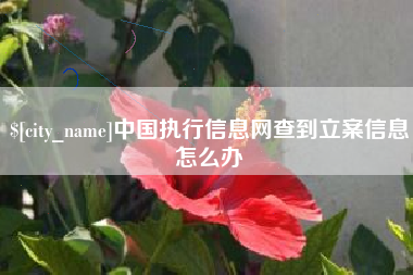 黄石中国执行信息网查到立案信息怎么办