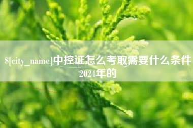 黄石中控证怎么考取需要什么条件2024年的