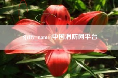 黄石中国消防网平台