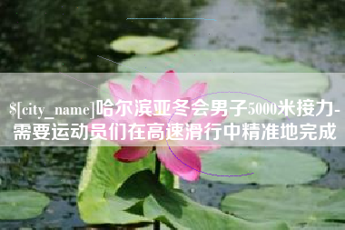 黄石哈尔滨亚冬会男子5000米接力-需要运动员们在高速滑行中精准地完成