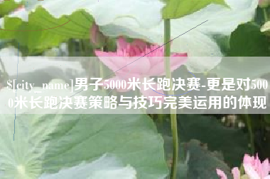 黄石男子5000米长跑决赛-更是对5000米长跑决赛策略与技巧完美运用的体现