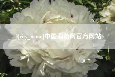 黄石中国消防网官方网站