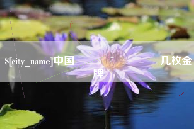 黄石中国🇨🇳几枚金牌