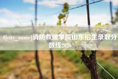 黄石消防救援学院山东招生录取分数线2020