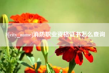黄石消防职业资格证书怎么查询