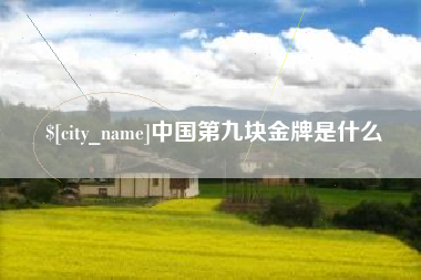 黄石中国第九块金牌是什么