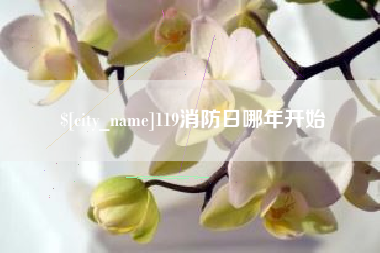 黄石119消防日哪年开始