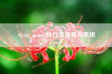 黄石执行公告查询系统