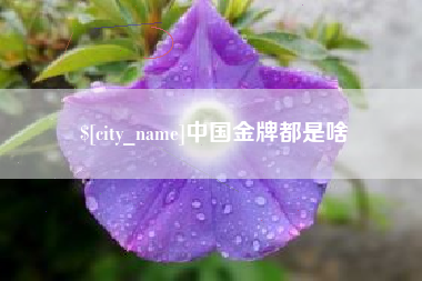 黄石中国金牌都是啥