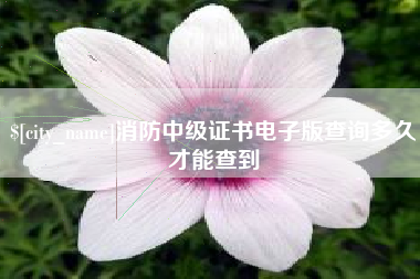 黄石消防中级证书电子版查询多久才能查到