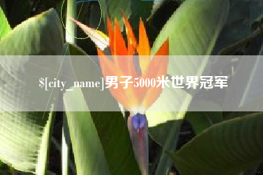 黄石男子5000米世界冠军
