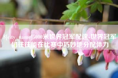 黄石5000米世界冠军配速-世界冠军们往往能在比赛中巧妙地分配体力