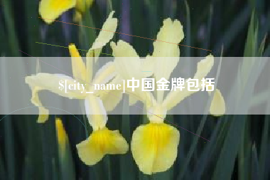 黄石中国金牌包括