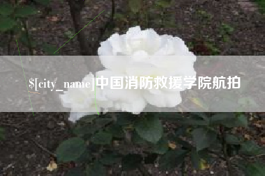 黄石中国消防救援学院航拍