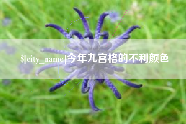 黄石今年九宫格的不利颜色