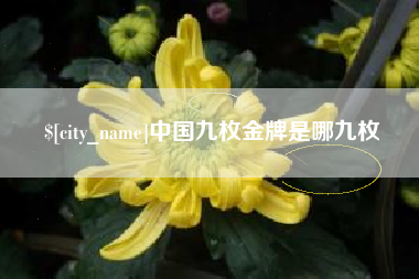 黄石中国九枚金牌是哪九枚