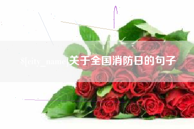 黄石关于全国消防日的句子