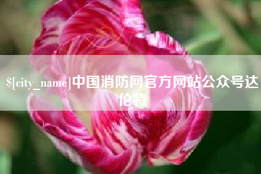 黄石中国消防网官方网站公众号达伦特