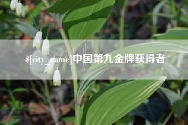 黄石中国第九金牌获得者
