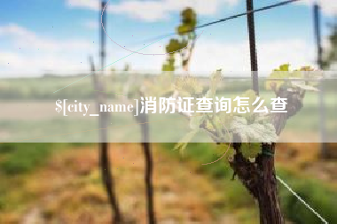 黄石消防证查询怎么查