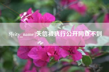 黄石失信被执行公开网查不到